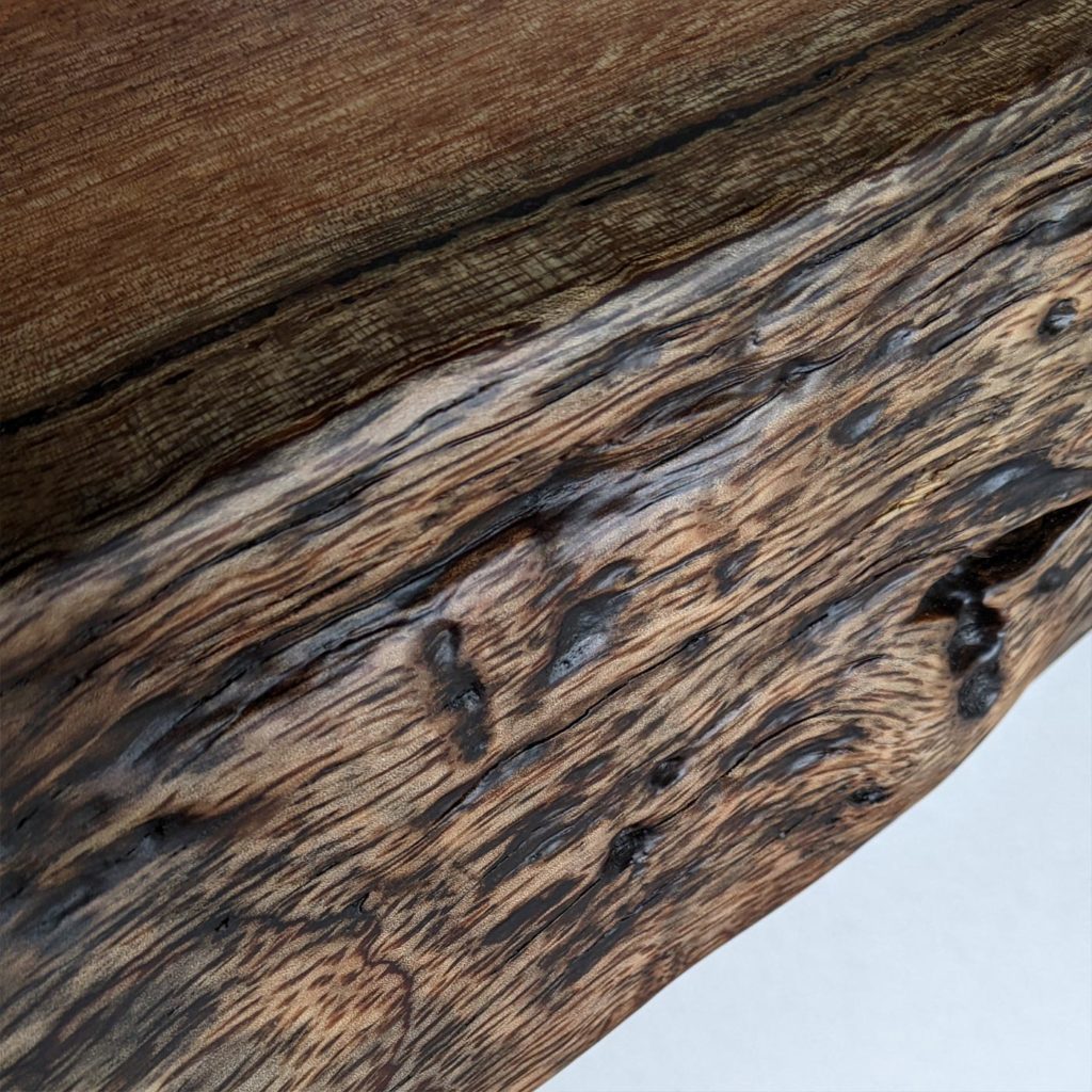 無垢材を使った一枚板カウンターの過去後のミミの表情