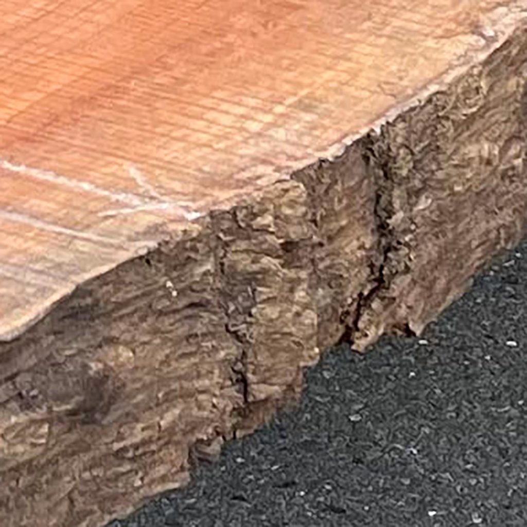 無垢材を使った一枚板カウンターの過去前のミミの表情